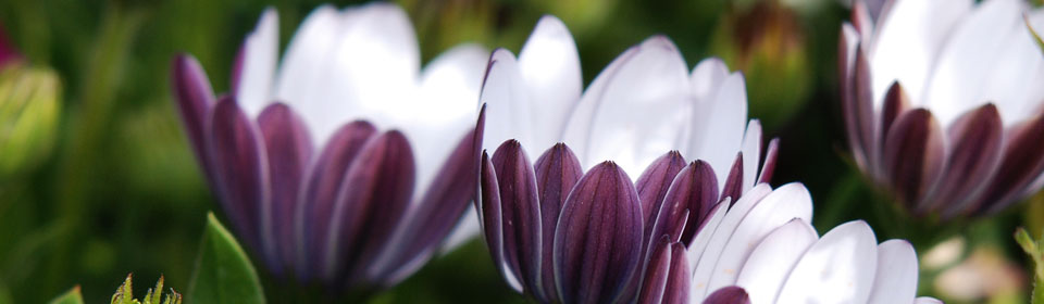 小七手机号在线网页轰炸