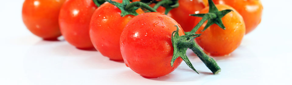 小七手机号在线网页轰炸